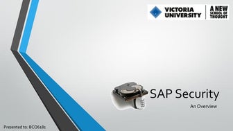 Introduction to SAP Security
