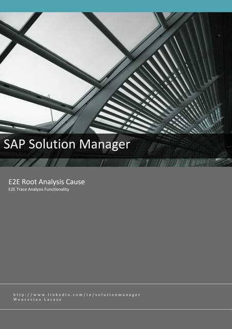 Sap Solman E2E Trace Analysis