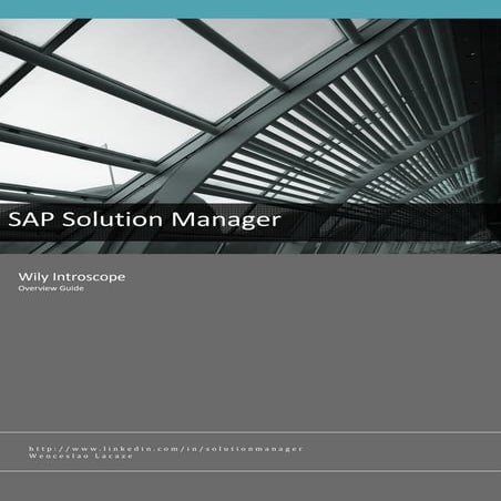 Sap Solman Introscope Overview V2.0