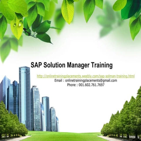 Sapsolutionmanagercoursecontent 130302033755-phpapp02