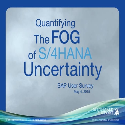 Quantifying the Fog of SAP S/4HANA Uncertainty