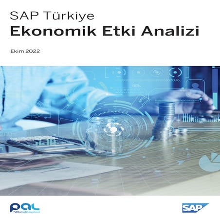 SAP Turkey Economic Impact Assessment