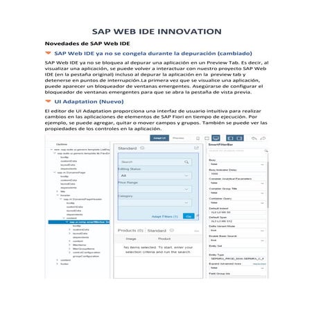 Sap WEB IDE  Innovation