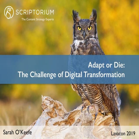 Adapt or Die: The Challenge of Digital Transformation | Sarah O'Keffe