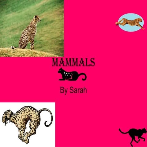 Mammals
