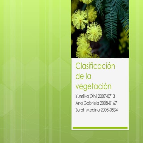 Clasificacion de la Vegetacion