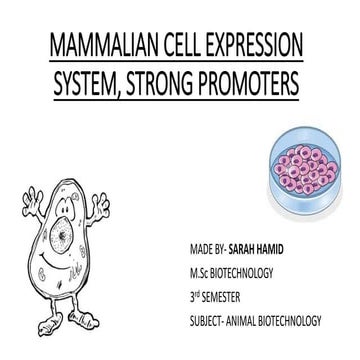 MAMMALIAN CELL EXPRESSION SYSTEM, STRONG PROMOTERS.pptx