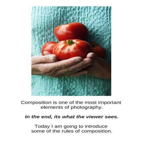 Sarah Jones Photography Composition Presentation 