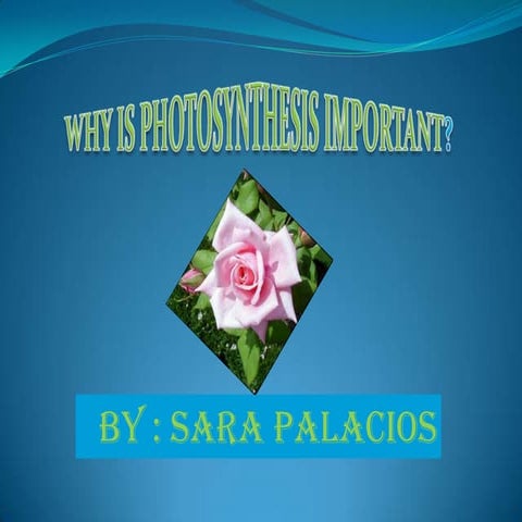 Saraspowerpoint 111127135412-phpapp02