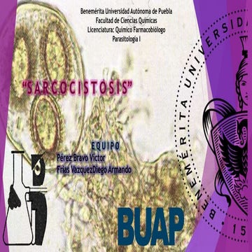 Sarcocystis bovihominis