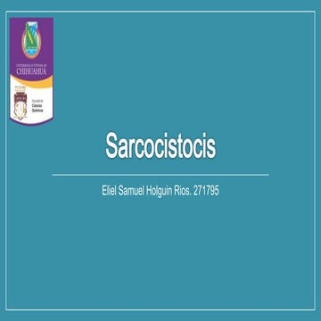 Sarcocystis sp
