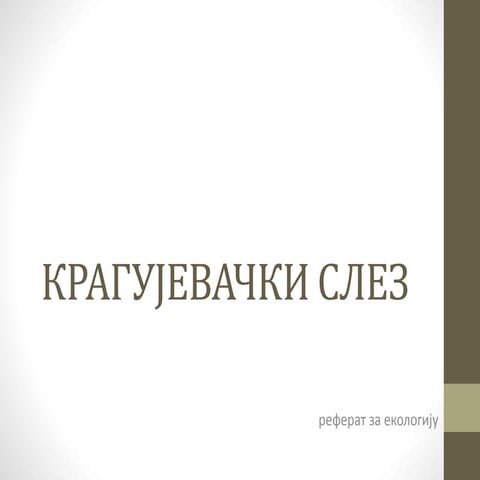 Шарени твор | PPT