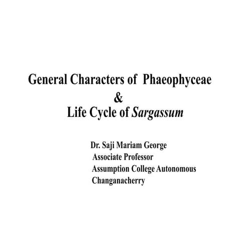 General Characters of Phaeophyceae & Life Cycle of Sargassum   SMG