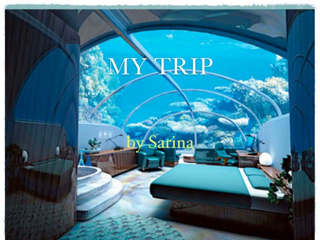 My Trip