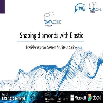 Sarine's Big Data Journey by Rostislav Aaronov