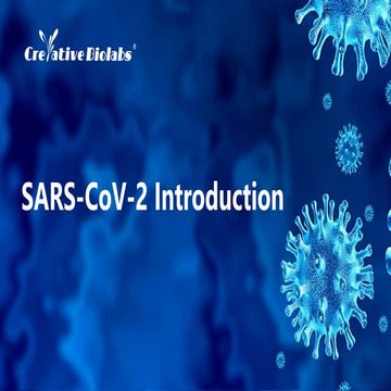SARS-CoV-2 Introduction - Creative Biolabs