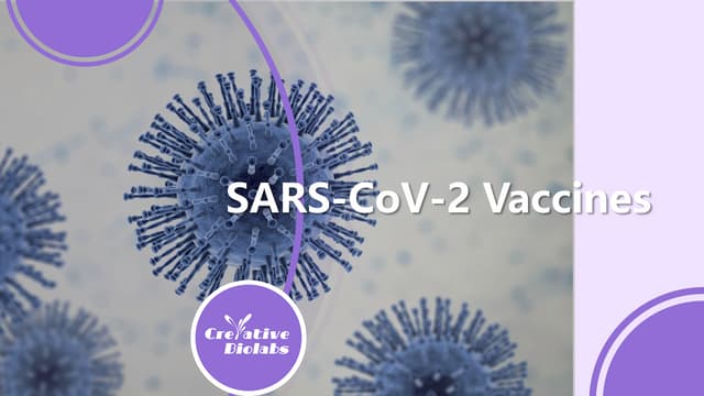 SARS-CoV-2 Vaccines