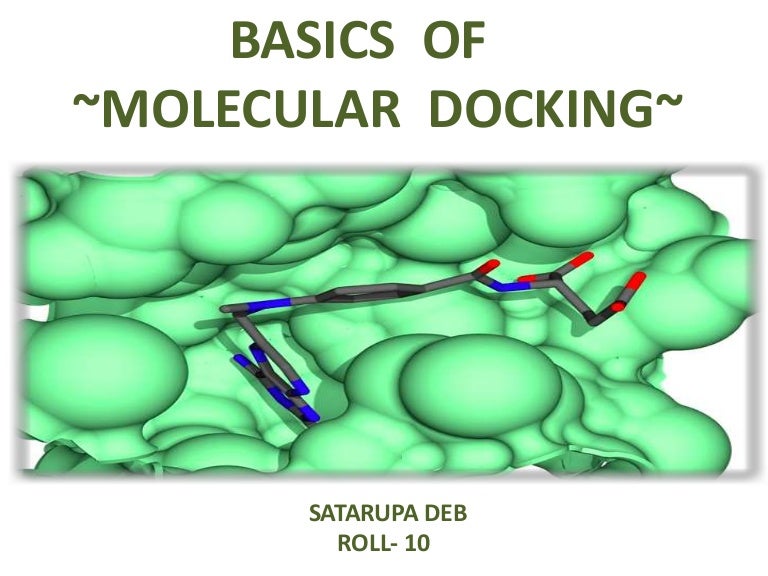Basics Of Molecular Docking