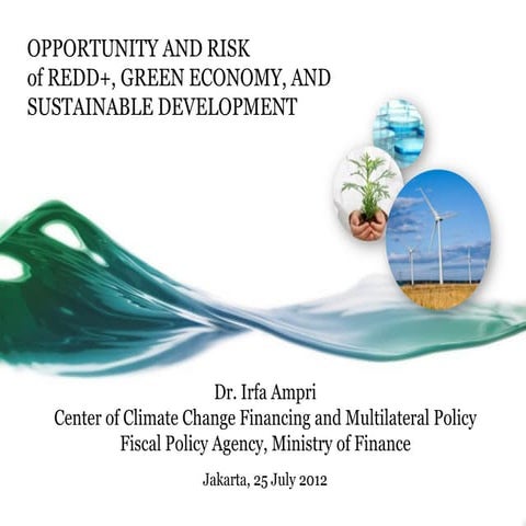 Opportunity and Risk of REDD+, Green Economy, and Sustainable Development
