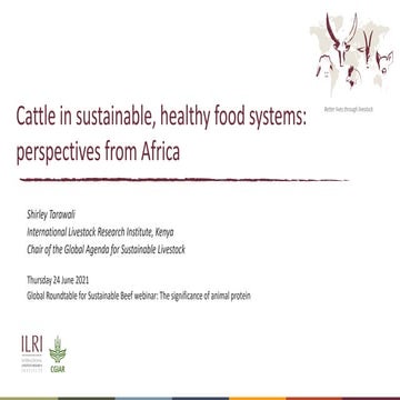 Cattle in sustainable, healthy food systems: Perspectives from Africa