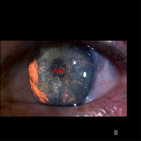 Sat lessons power point dt6 10.05.2011