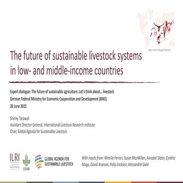 The future of sustainable livestock systems in low- and middle-income countries
