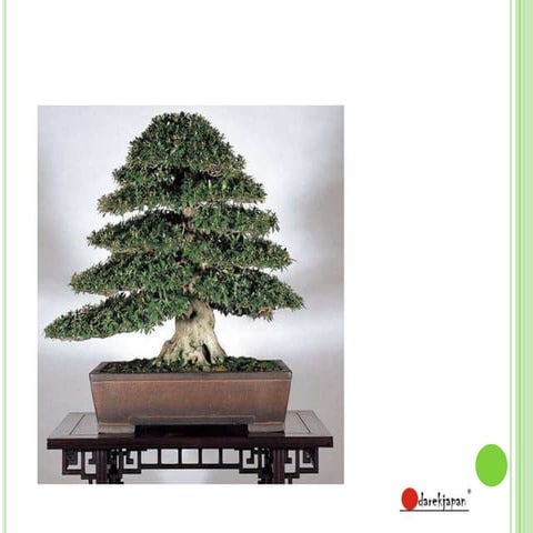 08.05.15 Retailer Magazine | PDF