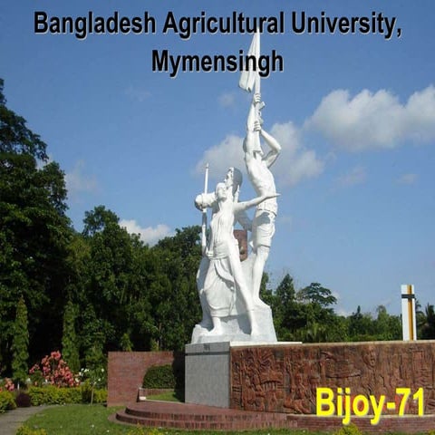 Agricultural Mechanization in  Bangladesh: Role of Policies and Emerging Priv...