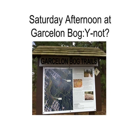 Saturday afternoon at garcelon bog
