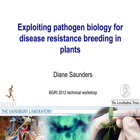 Exploiting pathogen biology for disease resistance breeding