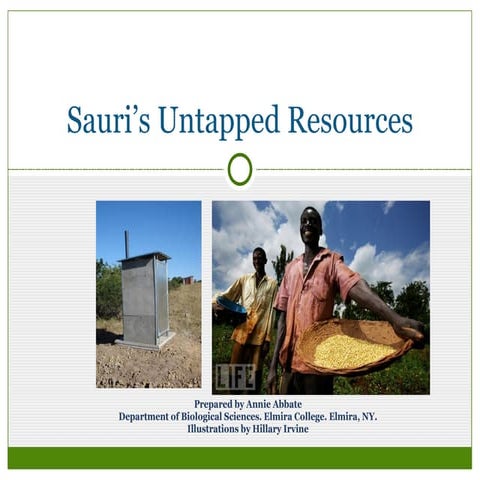 Sauri's Untapped Resources