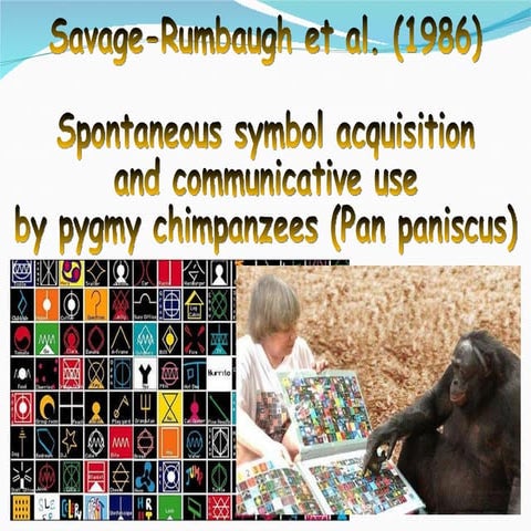 Savage Rumbaugh ppt