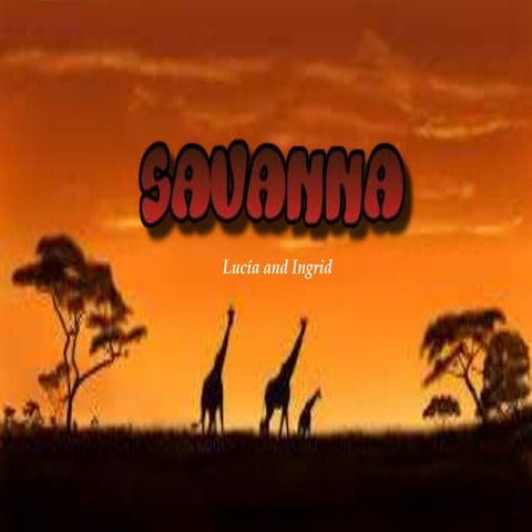 Savanna