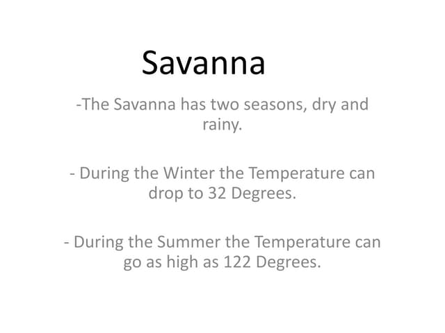 Savanna Susquenita