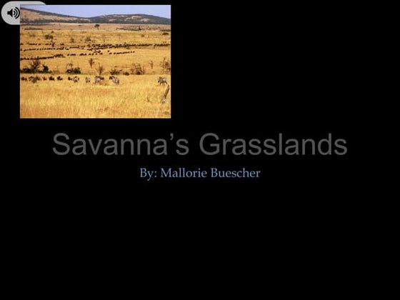 Savanna biome salim | PDF