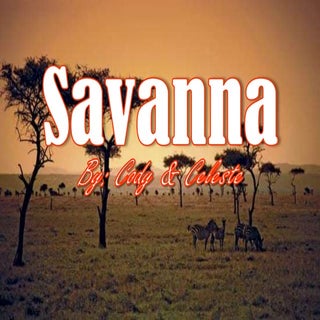 Savanna presentation 1 26-12