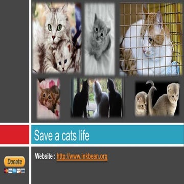 Save a cats life