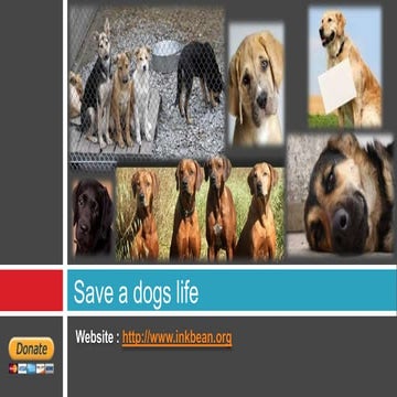 Save a life dog rescue