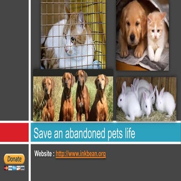 Save an abandoned pets life