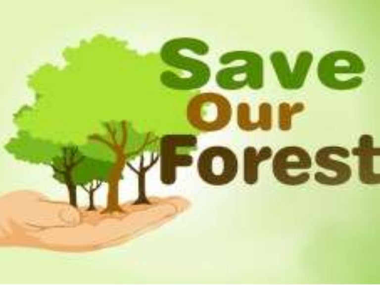 Save our forest