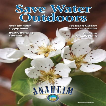 10 Steps to Outdoor Water Conservation - Anaheim, California