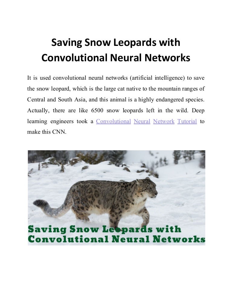 Saving Snow Leopards with Convolutional Neural Networks