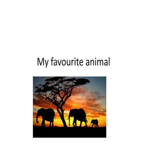Savs animals