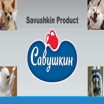Savushkin product | PPT