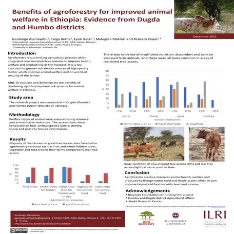 Benefits of agroforestry for improved animal welfare in Ethiopia: Evidence fr...
