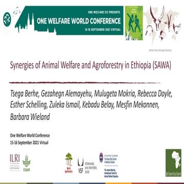 Synergies of Animal Welfare and Agroforestry in Ethiopia (SAWA)