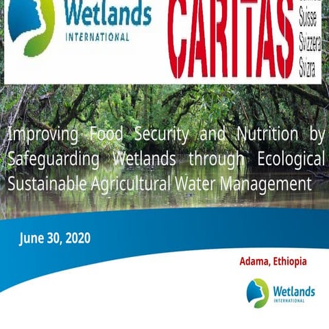 SAWEL launching  Presentaion for stakeholders.pptx