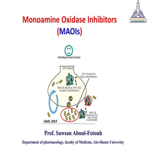 Monoamine Oxidase Inhibitors (MAOIs)