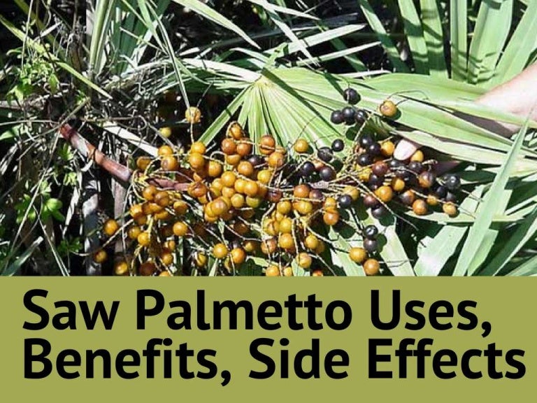 Various Benefits Saw Palmetto Treatment