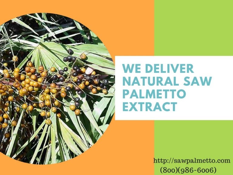 Saw Palmetto Extract Health Beauty